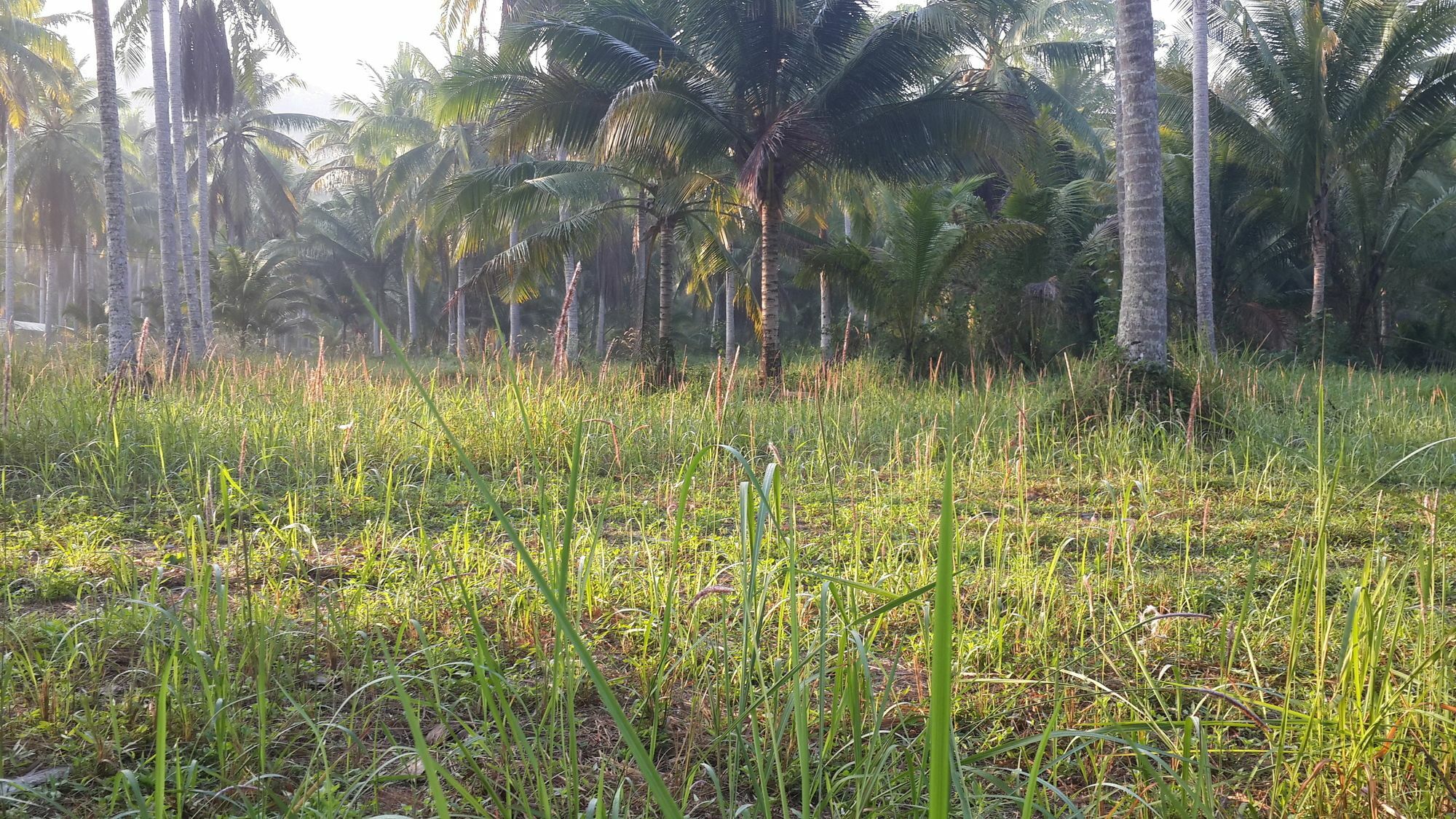 Baan Phuean Koh Kood Hotel Ko Kut Buitenkant foto