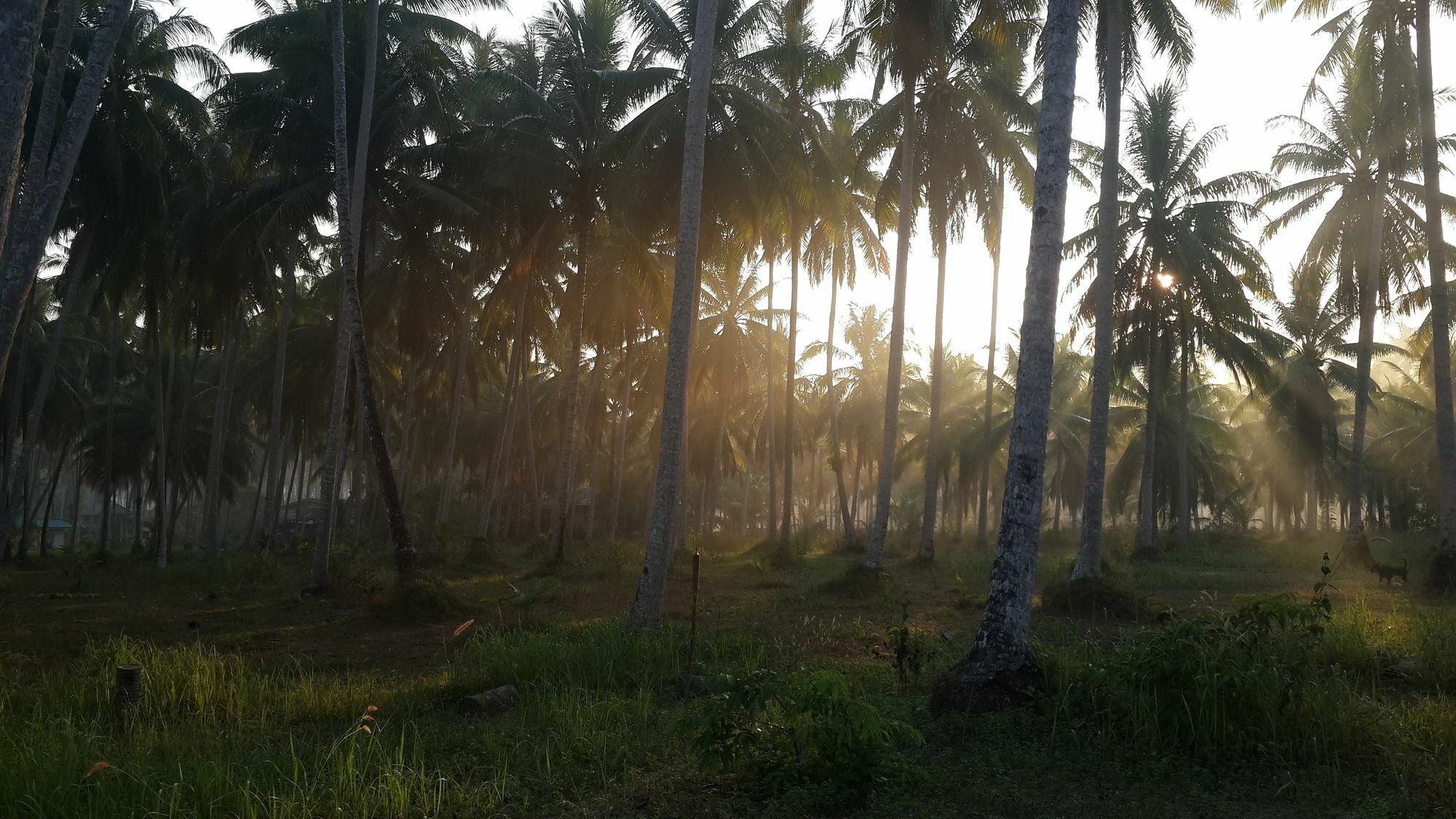 Baan Phuean Koh Kood Hotel Ko Kut Buitenkant foto